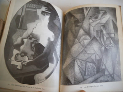 Les peintres cubistes .