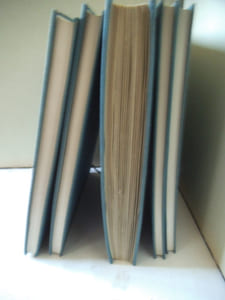 Bibliothèque Raphaël ESMERIAN 