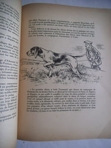 Le chien et son histoire ses exploits, ses aventures.