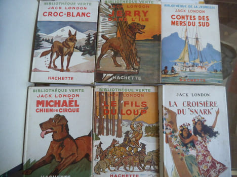  Croc Blanc- Jerry dans l’Ile- Contes des mers du Sud- Michaël Chien de cirque-Le fils du loup-La croisière du SNARK – la croisière du Dazz-ler. ...
