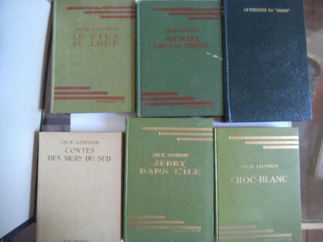  Croc Blanc- Jerry dans l’Ile- Contes des mers du Sud- Michaël Chien de cirque-Le fils du loup-La croisière du SNARK – la croisière du Dazz-ler. ...