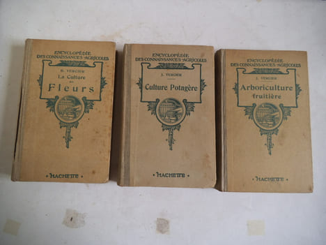 La culture des fleurs-culture potagère arboriculture fruitière. . VERCIER B.