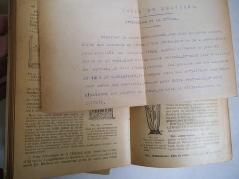La culture des fleurs-culture potagère arboriculture fruitière. . VERCIER B.