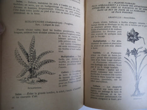 La culture des fleurs-culture potagère arboriculture fruitière. . VERCIER B.
