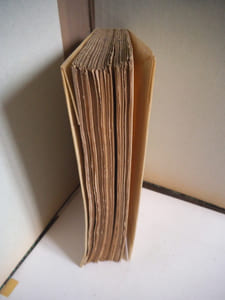Le livre de Goha le simple.