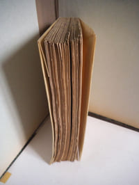 Le livre de Goha le simple.