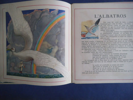 Le Buffon des enfants. Les oiseaux exotiques. ROY Bernard