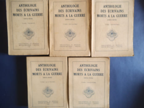 Anthologie des écrivains morts à la guerre (1914-1918) . Collectif