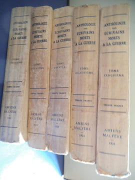 Anthologie des écrivains morts à la guerre (1914-1918) . Collectif