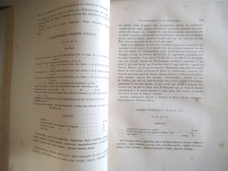 Description géologique et paléontologique des étages jurassiques supérieurs de la Haute Marne. . LORIOL P de – E. ROYER et H. TOMBECK 