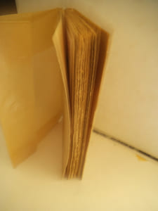 MEA CULPA suivi de la vie et l’oeuvre de SEMMELWEIS.