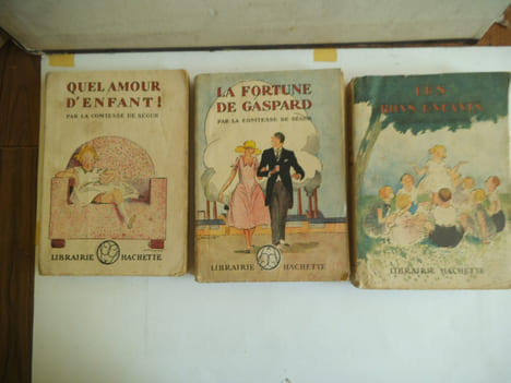 Les bons enfants -Les deux nigauds- Un bon petit diable -la sœur de Gribouille - Quel amour d’enfants - La fortune de Gaspard . Comtesse de SEGUR.