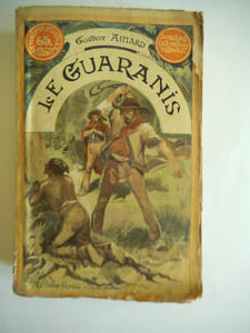 n°22 Le Guaranis