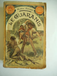n°22 Le Guaranis