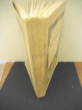 Voyage à Ceylan . HOFFMANN Franz
