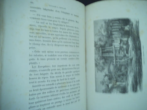 Voyage à Ceylan . HOFFMANN Franz