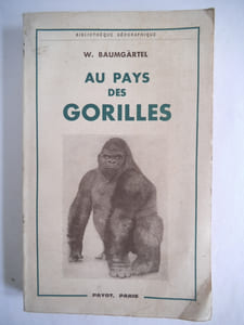 Au pays des gorilles