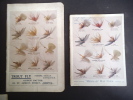  catalogues d’articles de pêche à la mouche (vers 1918) . OGDEN SMITHS 