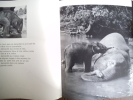 YLLA le petit éléphant -Deux petits ours . FALCONNET  Paulette 