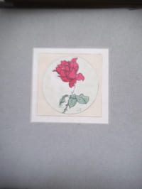 Les roses