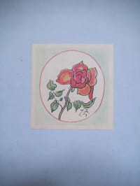 Clos Joli. I) les fleurs II) les fruits