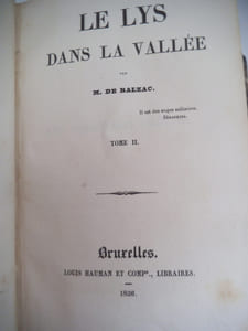 Le lys dans la vallée. 