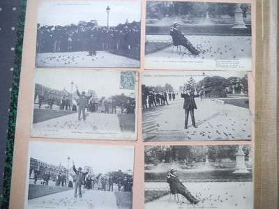 Le charmeur d’oiseaux des Tuileries.