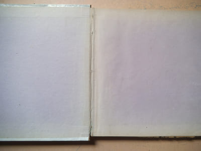 Vues pittoresques des bords du Rhin