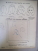 La famille. . Anonyme 
