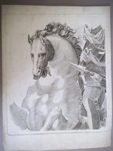cheval et cavalier en armure.