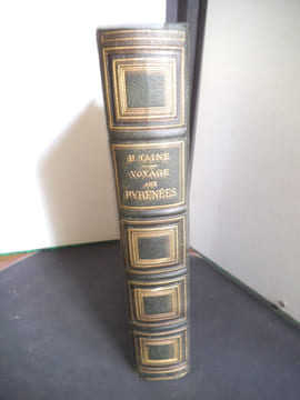 Voyage aux Pyrénées . TAINE