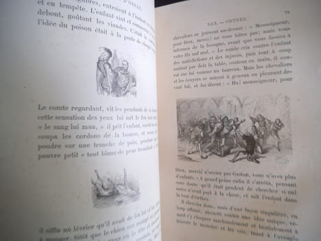 Voyage aux Pyrénées . TAINE