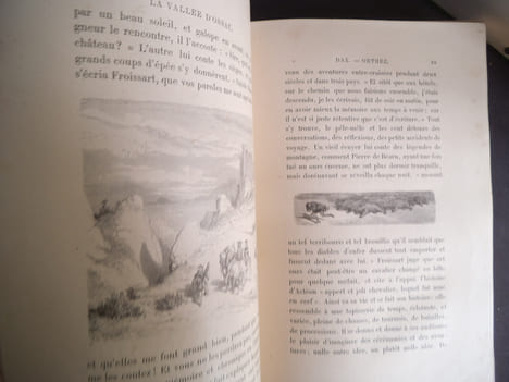 Voyage aux Pyrénées . TAINE