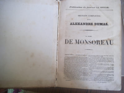 La Dame de MONSOREAU