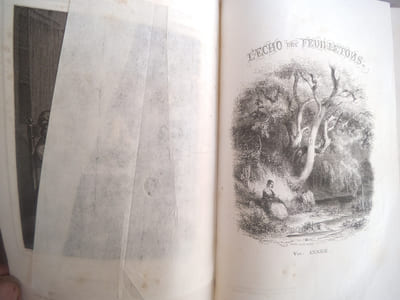 Le chevalier d’HARMENTAL. SALATOR ROSA