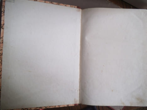 Journal du Dimanche . Collectif 165