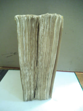 Annales historiques du Barrois de 1352 à 1411 . SERVAIS Victor