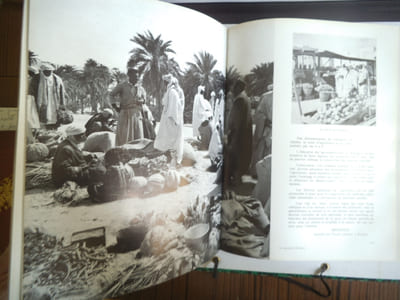 Les OASIS
