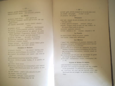 Le patois des environs de Montmirail.