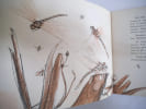
demoiselle libellule. 
TELLIER A  