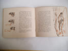 
demoiselle libellule. 
TELLIER A  