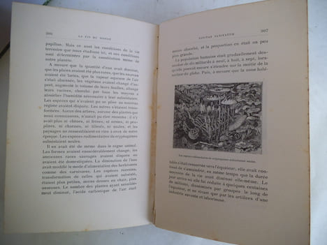 La Fin du Monde.. FLAMMARION Camille