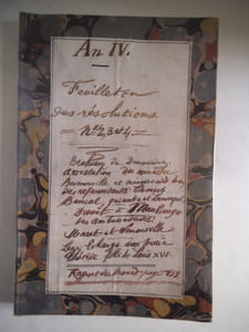 AN IV-feuilleton des Résolutions et des projets de la Révolution.