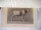 Le mouton exploitation rémunératrice du troupeau préface de M. Fernand DAVID. GIRARD Henry /Georges JANNIN