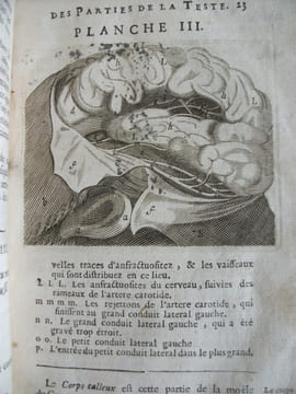 L’anatomie du corps humain . SAINT HILAIRE