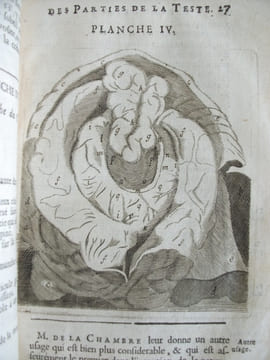 L’anatomie du corps humain . SAINT HILAIRE