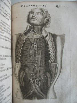 L’anatomie du corps humain . SAINT HILAIRE