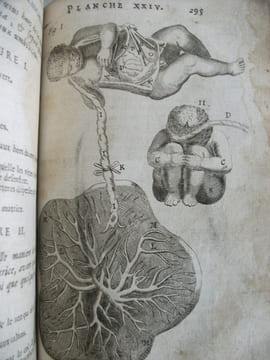 L’anatomie du corps humain . SAINT HILAIRE