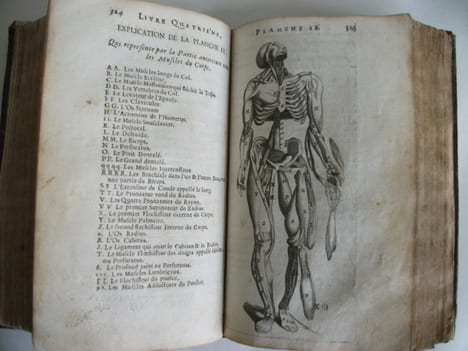 L’anatomie du corps humain . SAINT HILAIRE