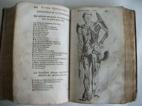 L’anatomie du corps humain . SAINT HILAIRE